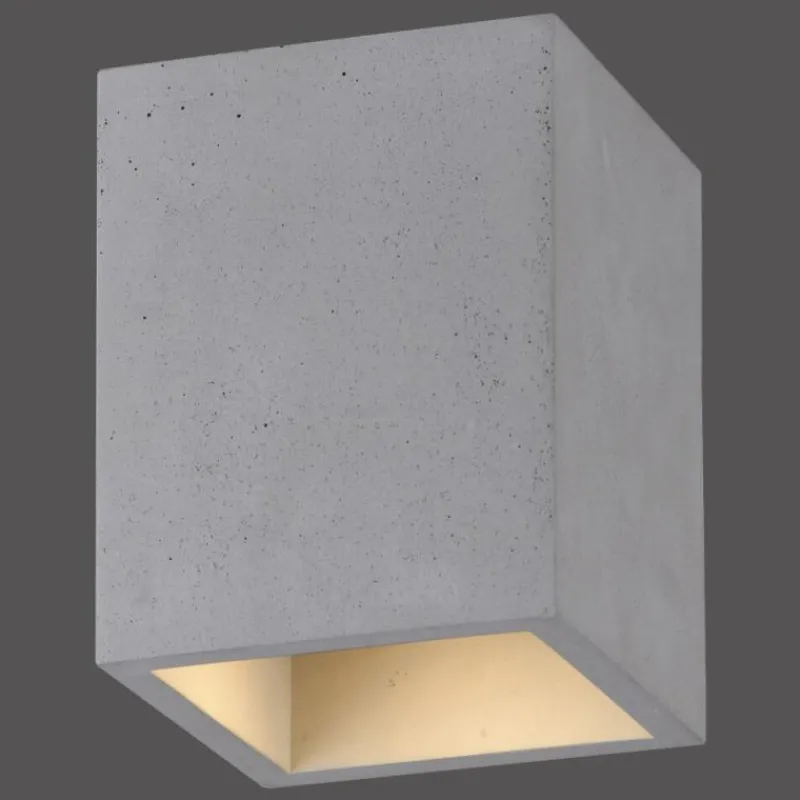 Luminaires Paul Neuhaus Plafonnier Paul-Neuhaus ETON Gris, Noir, 1 lumière* Plafonniers