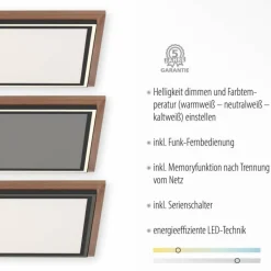 Lampes En Bois-Luminaires Paul Neuhaus Plafonnier Paul-Neuhaus PALMA LED Écru, Noir, 2 lumières, Télécommandes