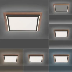 Lampes En Bois-Luminaires Paul Neuhaus Plafonnier Paul-Neuhaus PALMA LED Écru, Noir, 2 lumières, Télécommandes