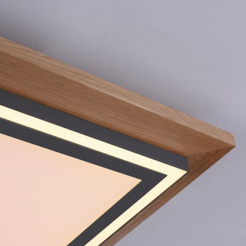 Lampes En Bois-Luminaires Paul Neuhaus Plafonnier Paul-Neuhaus PALMA LED Écru, Noir, 2 lumières, Télécommandes