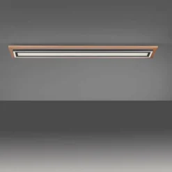 Lampes En Bois-Luminaires Paul Neuhaus Plafonnier Paul-Neuhaus PALMA LED Écru, Noir, 2 lumières, Télécommandes