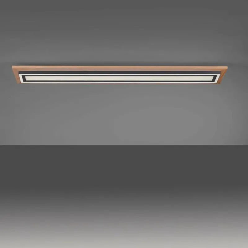 Lampes En Bois-Luminaires Paul Neuhaus Plafonnier Paul-Neuhaus PALMA LED Écru, Noir, 2 lumières, Télécommandes