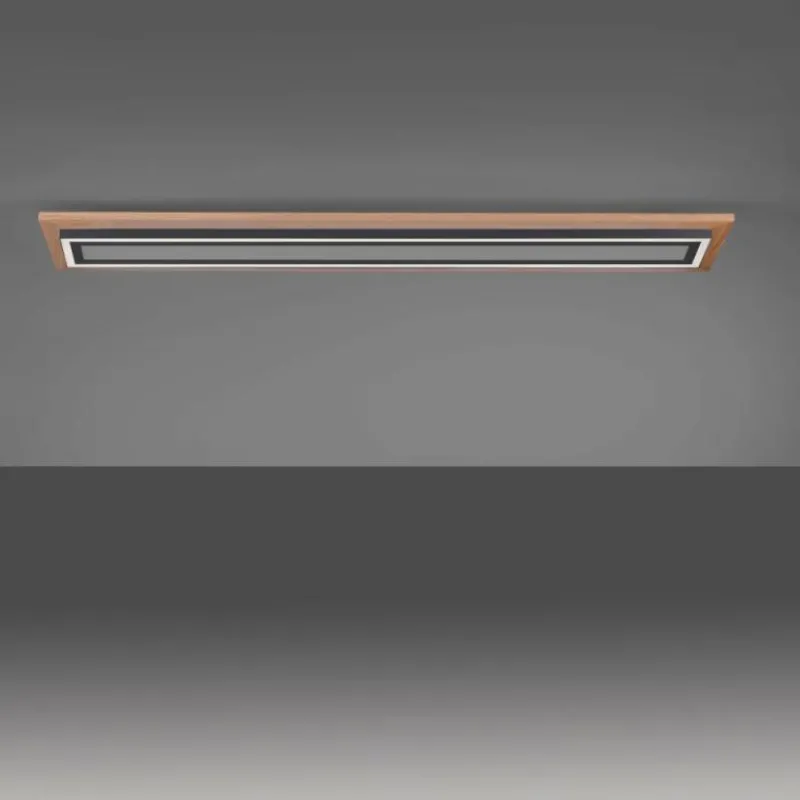 Lampes En Bois-Luminaires Paul Neuhaus Plafonnier Paul-Neuhaus PALMA LED Écru, Noir, 2 lumières, Télécommandes