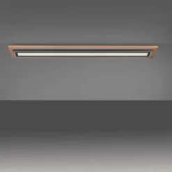 Lampes En Bois-Luminaires Paul Neuhaus Plafonnier Paul-Neuhaus PALMA LED Écru, Noir, 2 lumières, Télécommandes