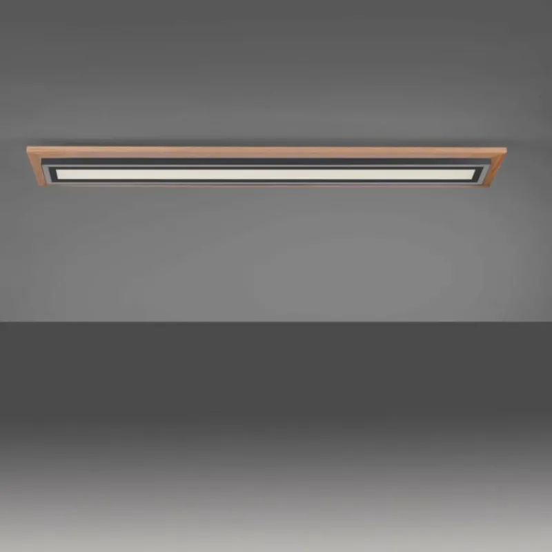 Lampes En Bois-Luminaires Paul Neuhaus Plafonnier Paul-Neuhaus PALMA LED Écru, Noir, 2 lumières, Télécommandes