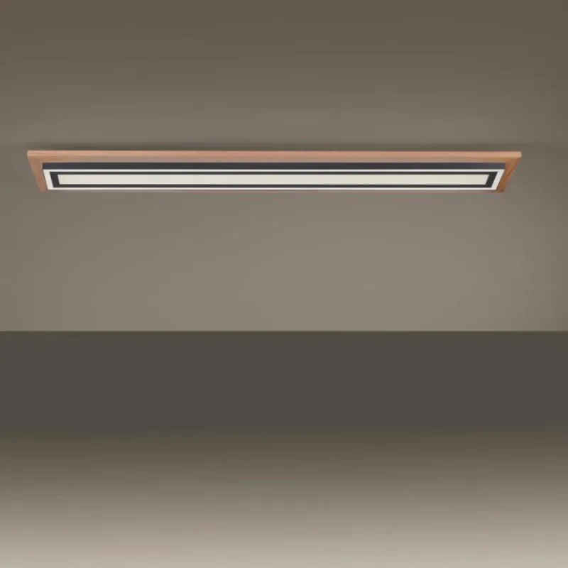 Lampes En Bois-Luminaires Paul Neuhaus Plafonnier Paul-Neuhaus PALMA LED Écru, Noir, 2 lumières, Télécommandes