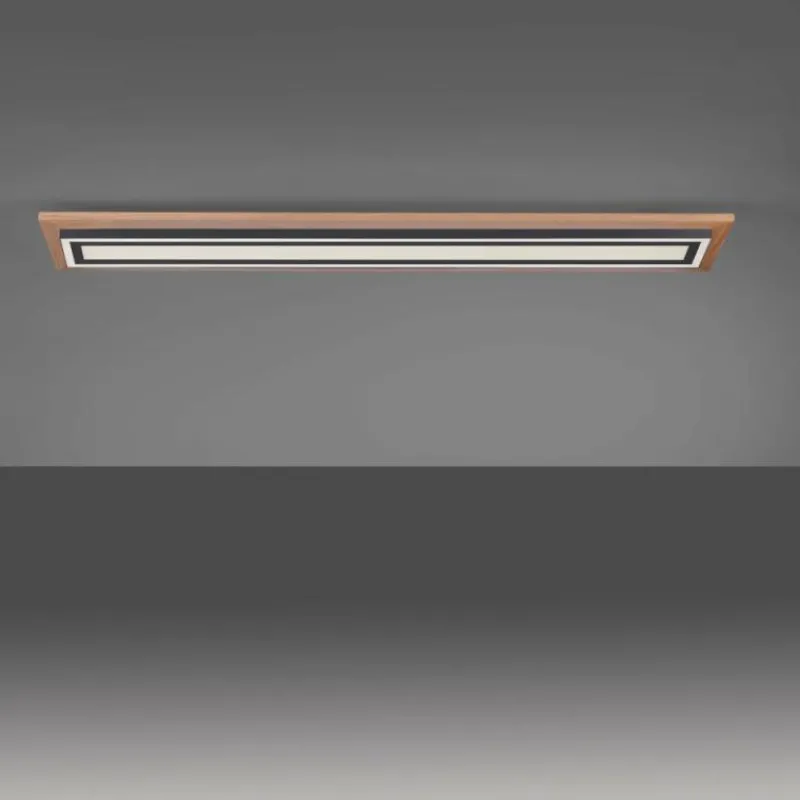 Lampes En Bois-Luminaires Paul Neuhaus Plafonnier Paul-Neuhaus PALMA LED Écru, Noir, 2 lumières, Télécommandes