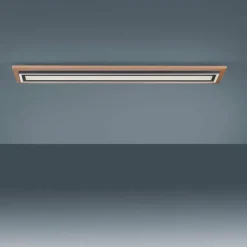 Lampes En Bois-Luminaires Paul Neuhaus Plafonnier Paul-Neuhaus PALMA LED Écru, Noir, 2 lumières, Télécommandes