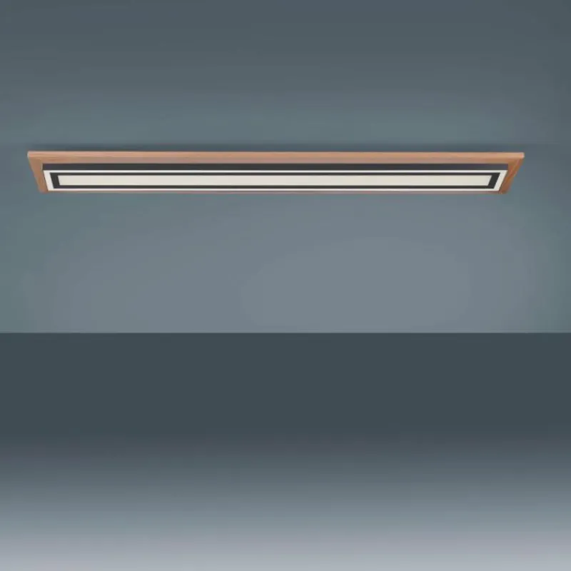 Lampes En Bois-Luminaires Paul Neuhaus Plafonnier Paul-Neuhaus PALMA LED Écru, Noir, 2 lumières, Télécommandes