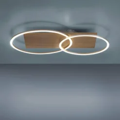 Lampes En Bois-Luminaires Paul Neuhaus Plafonnier Paul-Neuhaus PALMA LED Écru, Acier brossé, 2 lumières, Télécommandes