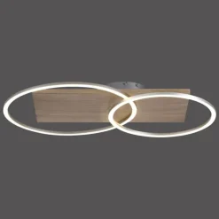 Lampes En Bois-Luminaires Paul Neuhaus Plafonnier Paul-Neuhaus PALMA LED Écru, Acier brossé, 2 lumières, Télécommandes