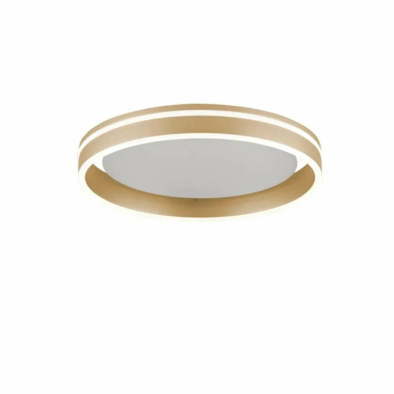 Paul Neuhaus Q-Serie Plafonnier Paul-Neuhaus Q-VITO LED Laiton, 1 lumière, Télécommandes