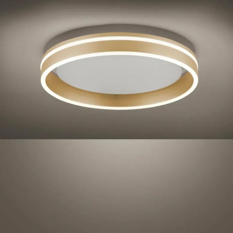 Paul Neuhaus Q-Serie Plafonnier Paul-Neuhaus Q-VITO LED Laiton, 1 lumière, Télécommandes