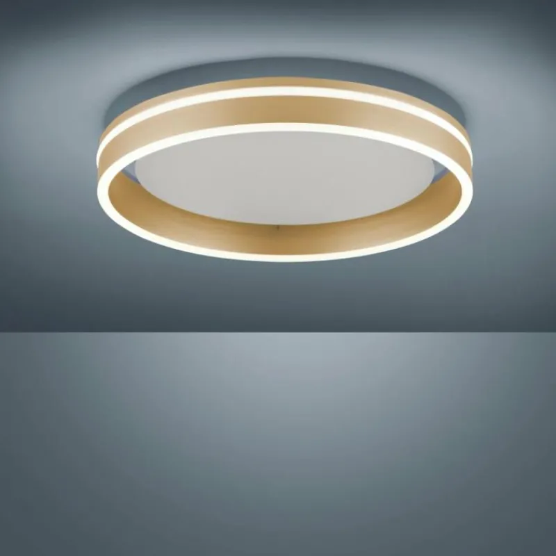 Paul Neuhaus Q-Serie Plafonnier Paul-Neuhaus Q-VITO LED Laiton, 1 lumière, Télécommandes