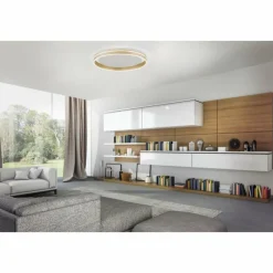 Paul Neuhaus Q-Serie Plafonnier Paul-Neuhaus Q-VITO LED Laiton, 1 lumière, Télécommandes