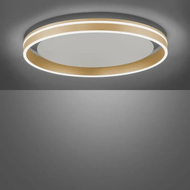 Paul Neuhaus Q-Serie Plafonnier Paul-Neuhaus Q-VITO LED Laiton, 1 lumière, Télécommandes