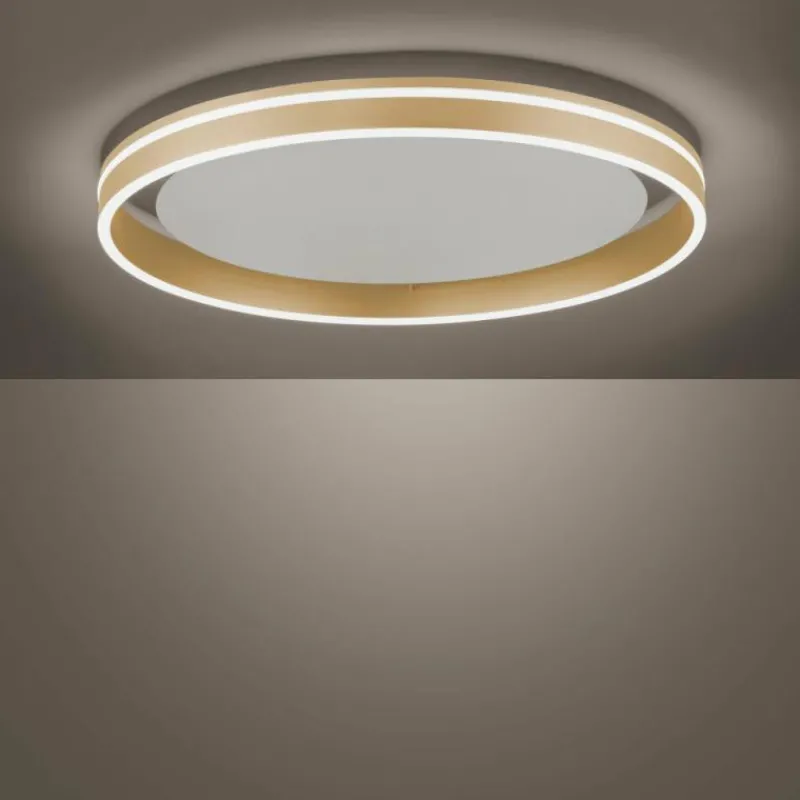 Paul Neuhaus Q-Serie Plafonnier Paul-Neuhaus Q-VITO LED Laiton, 1 lumière, Télécommandes