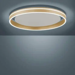 Paul Neuhaus Q-Serie Plafonnier Paul-Neuhaus Q-VITO LED Laiton, 1 lumière, Télécommandes