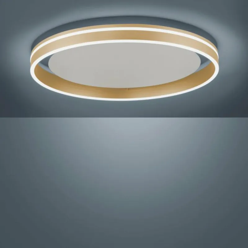 Paul Neuhaus Q-Serie Plafonnier Paul-Neuhaus Q-VITO LED Laiton, 1 lumière, Télécommandes