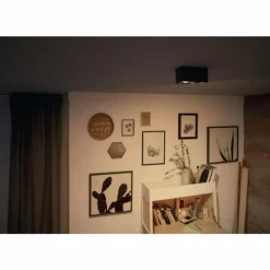 Luminaires Philips Plafonnier Philips Box LED Noir, 2 lumières* Spots Et Projecteurs