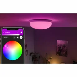 Luminaires Philips Plafonnier Philips Hue Flourish LED Blanc, 1 lumière, Changeur de couleurs