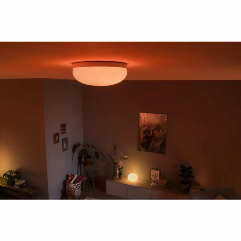Luminaires Philips Plafonnier Philips Hue Flourish LED Blanc, 1 lumière, Changeur de couleurs