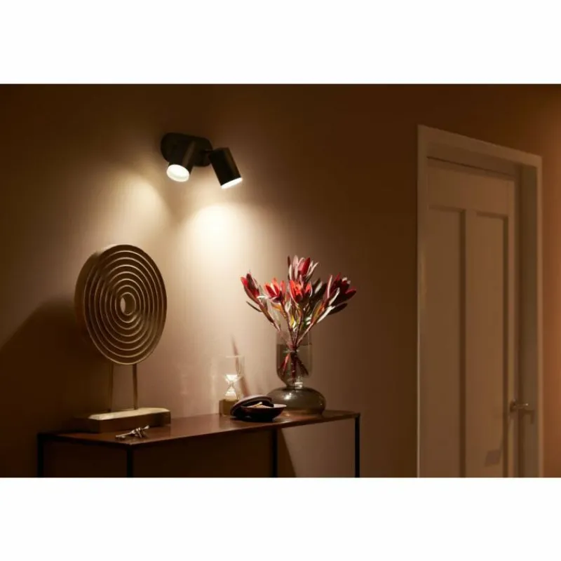 Luminaires Philips Plafonnier Philips Hue Fugato LED Noir, 2 lumières, Changeur de couleurs
