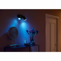 Luminaires Philips Plafonnier Philips Hue Fugato LED Noir, 2 lumières, Changeur de couleurs