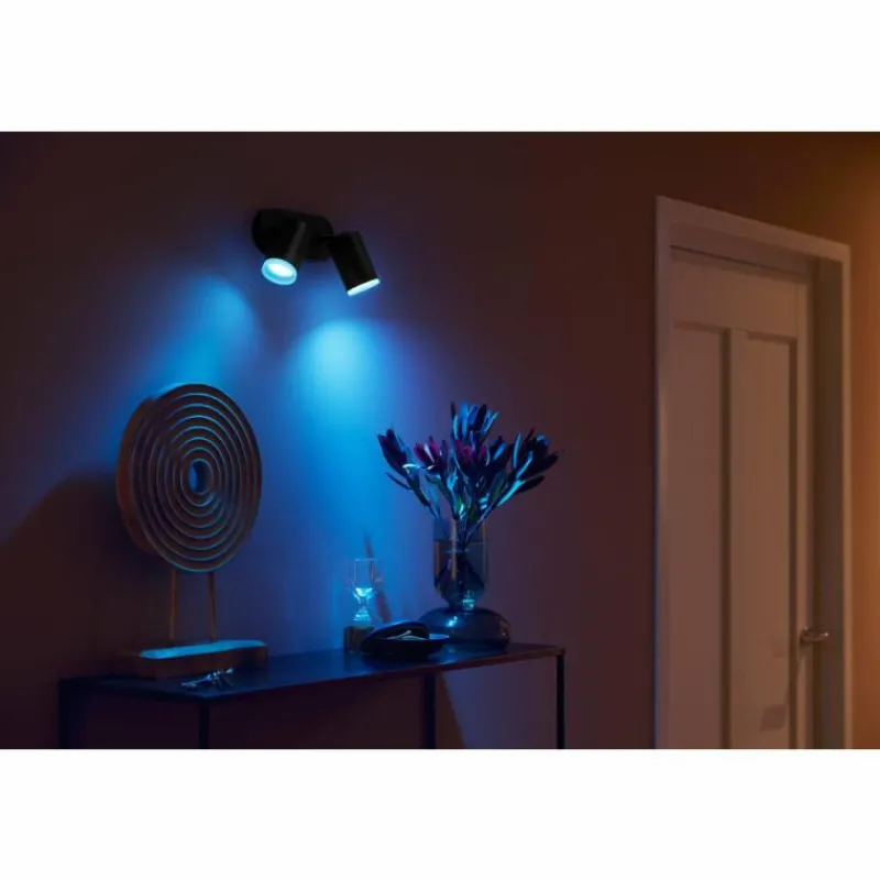 Luminaires Philips Plafonnier Philips Hue Fugato LED Noir, 2 lumières, Changeur de couleurs