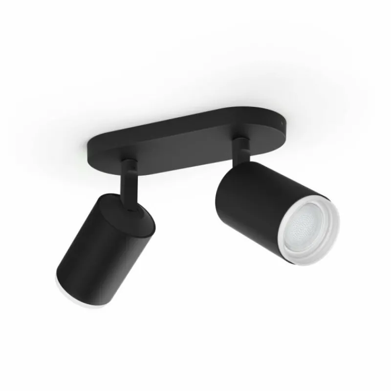 Luminaires Philips Plafonnier Philips Hue Fugato LED Noir, 2 lumières, Changeur de couleurs