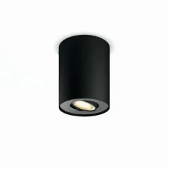 Luminaires Philips Plafonnier Philips Hue Pillar LED Noir, 1 lumière, Télécommandes