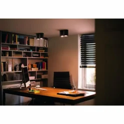 Luminaires Philips Plafonnier Philips Hue Pillar LED Noir, 2 lumières, Télécommandes