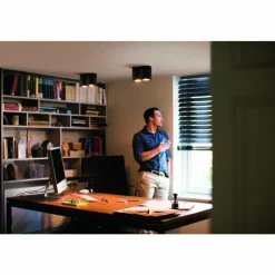 Luminaires Philips Plafonnier Philips Hue Pillar LED Noir, 2 lumières, Télécommandes