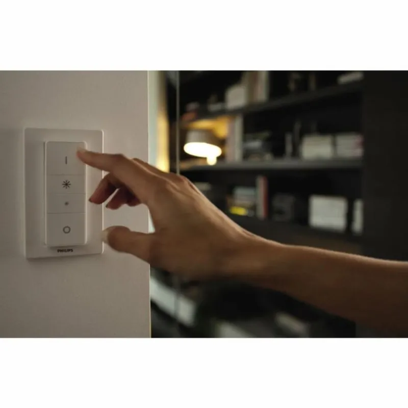 Luminaires Philips Plafonnier Philips Hue Runner LED Blanc, 1 lumière, Télécommandes
