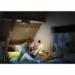 Luminaires Philips Plafonnier Philips Hue Runner LED Noir, 2 lumières, Télécommandes