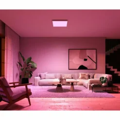 Luminaires Philips Plafonnier Philips Hue Surimu LED Blanc, 1 lumière, Changeur de couleurs