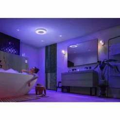 Luminaires Philips Plafonnier Philips Hue Xamento LED Blanc, 1 lumière, Changeur de couleurs