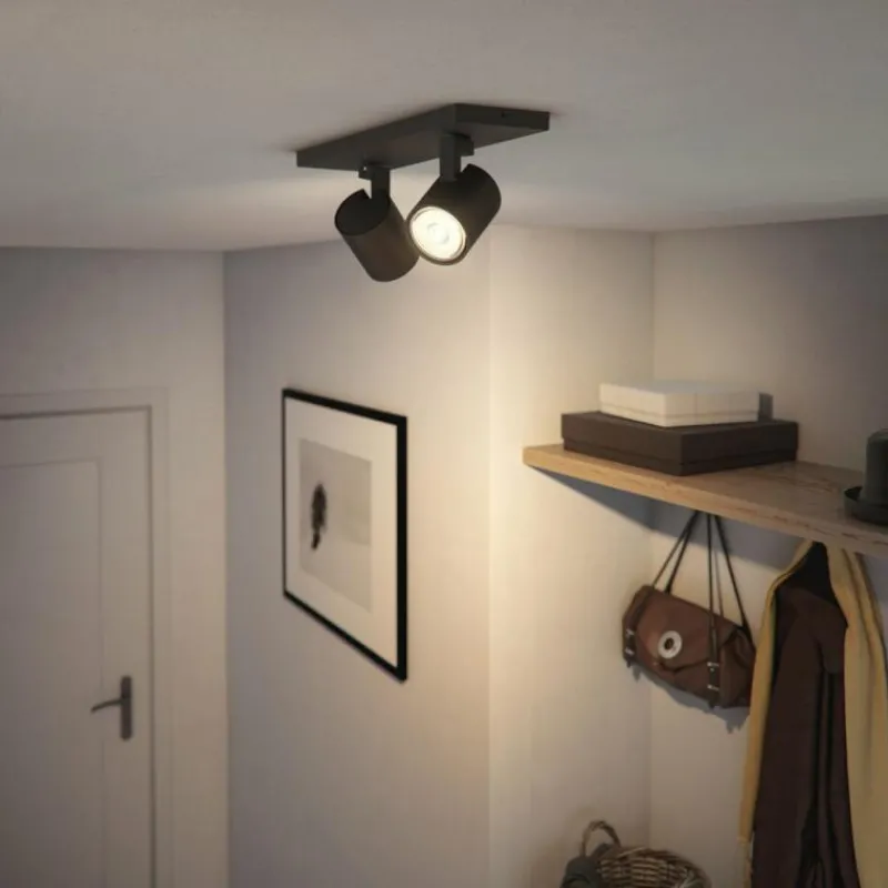 Luminaires Philips Plafonnier Philips myLiving Runner Noir, 2 lumières* Spots Et Projecteurs