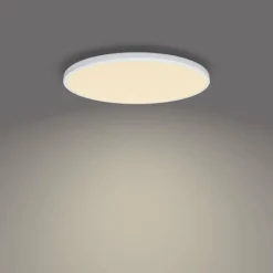 Luminaires Philips Plafonnier Philips Ozziet LED Blanc, 1 lumière* Éclairage Led