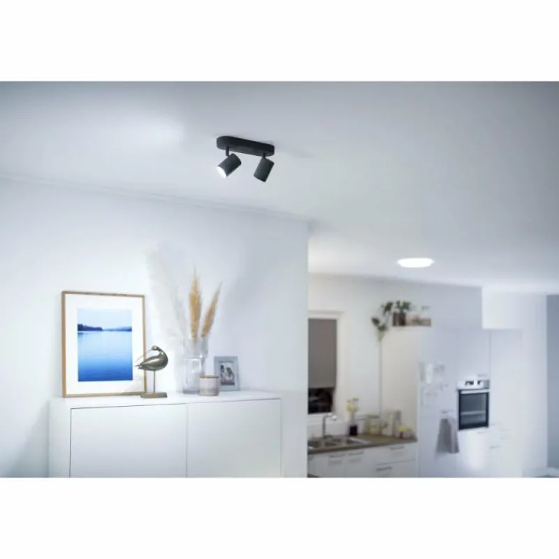Luminaires Philips Plafonnier Philips WiZ IMAGEO LED Noir, 2 lumières, Changeur de couleurs