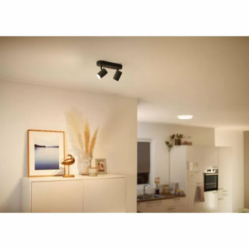 Luminaires Philips Plafonnier Philips WiZ IMAGEO LED Noir, 2 lumières, Changeur de couleurs
