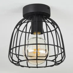 Lampes Industrielles-hofstein Plafonnier Piment Noir, 1 lumière