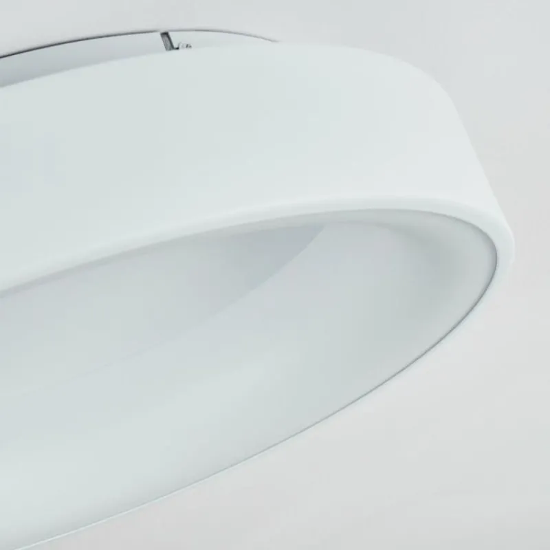 hofstein Plafonnier Pine LED Blanc, 1 lumière