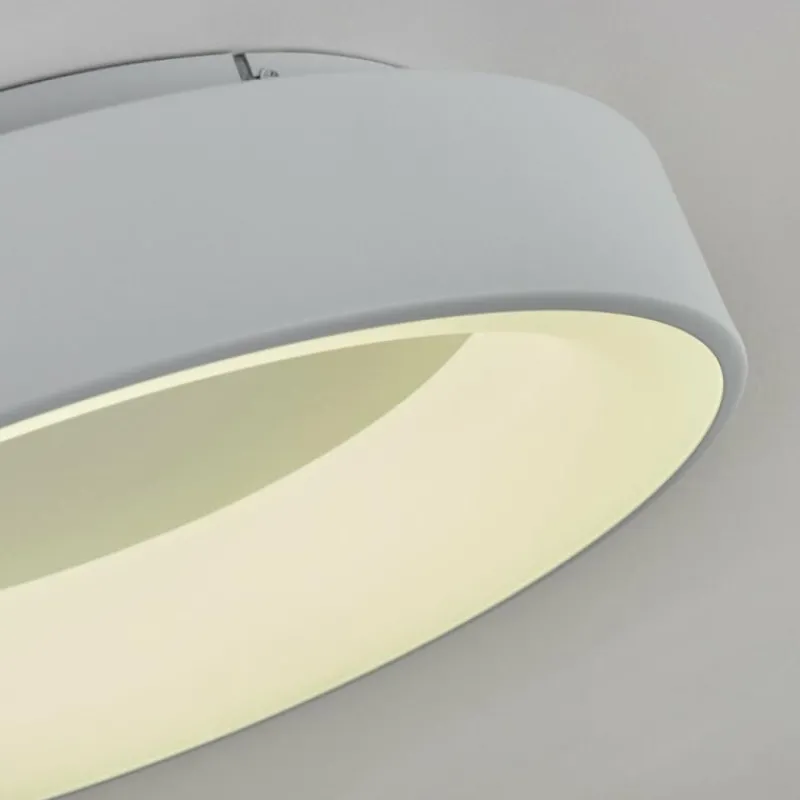 hofstein Plafonnier Pine LED Blanc, 1 lumière