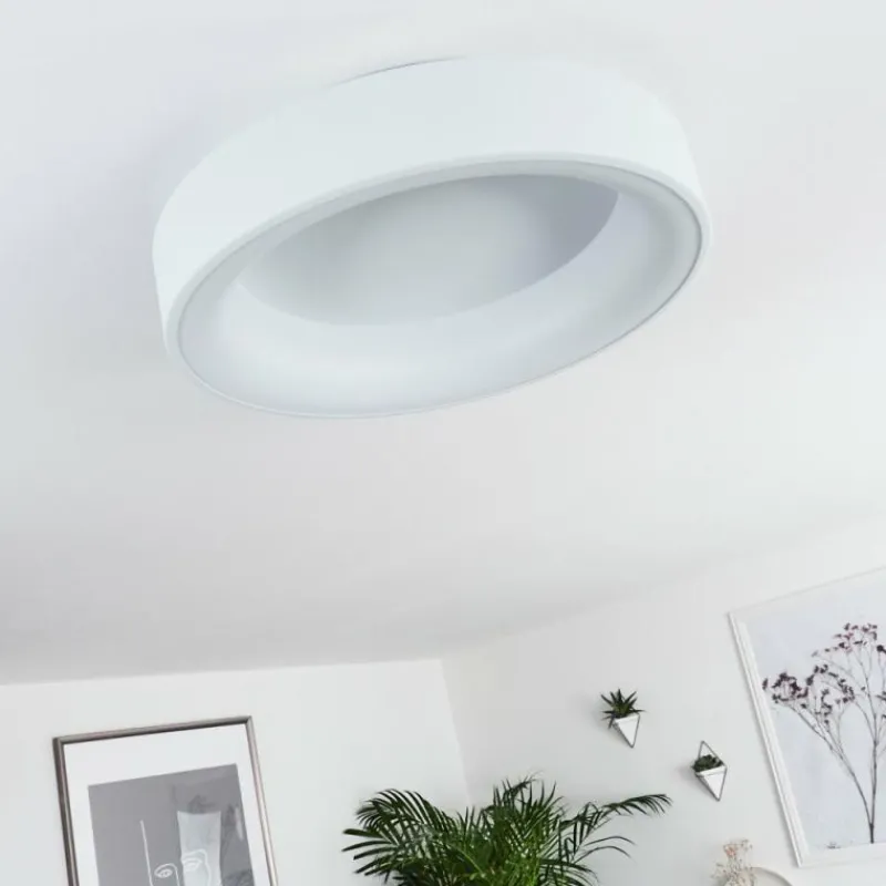 hofstein Plafonnier Pine LED Blanc, 1 lumière