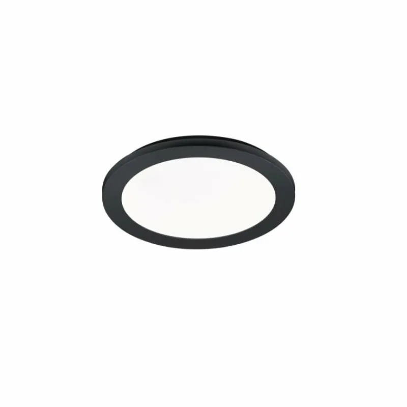 Luminaires Rustiques-Luminaires Reality Plafonnier Reality CAMILLUS LED Noir, 1 lumière