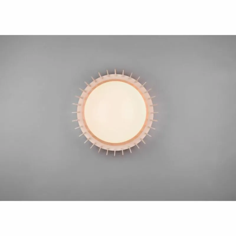 Luminaires Reality Plafonnier Reality Monte LED Blanc, 1 lumière* Éclairage Led