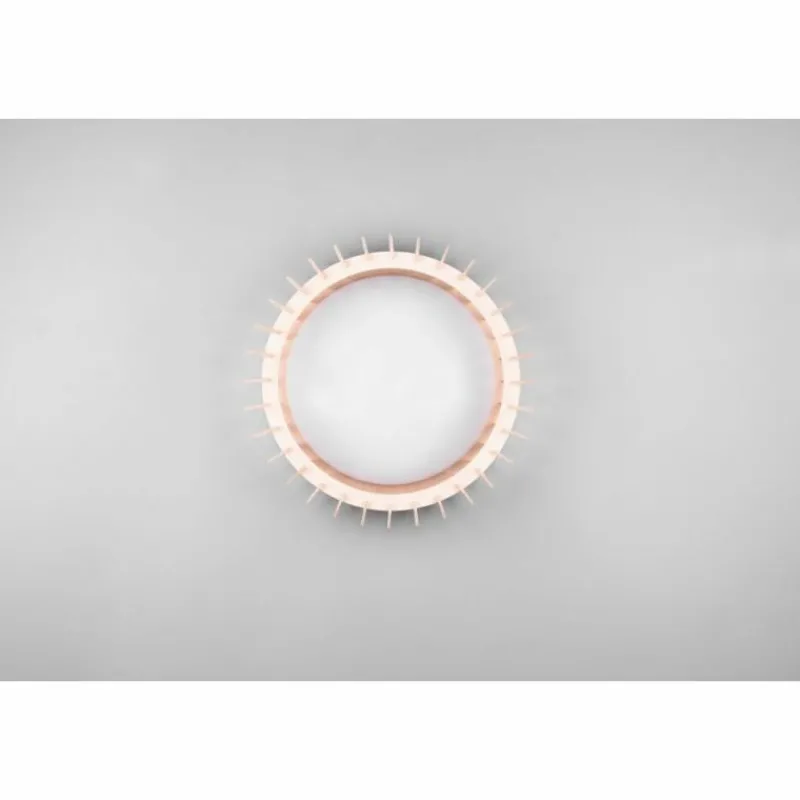 Luminaires Reality Plafonnier Reality Monte LED Blanc, 1 lumière* Éclairage Led