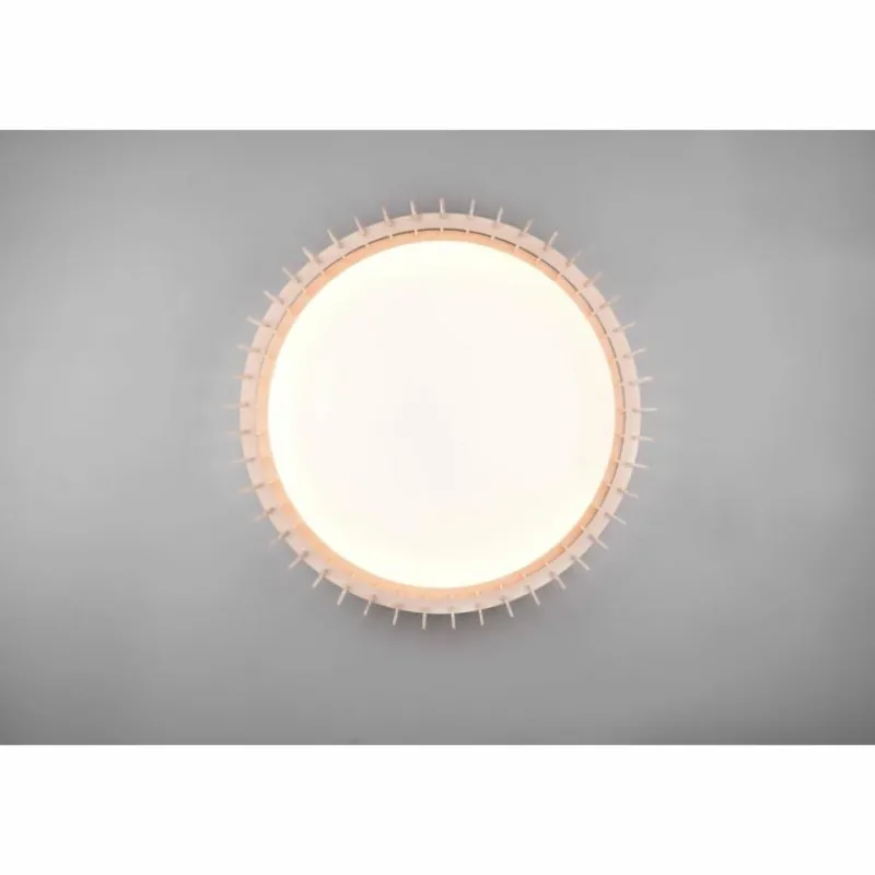 Luminaires Reality Plafonnier Reality Monte LED Blanc, 1 lumière, Télécommandes* Éclairage Led