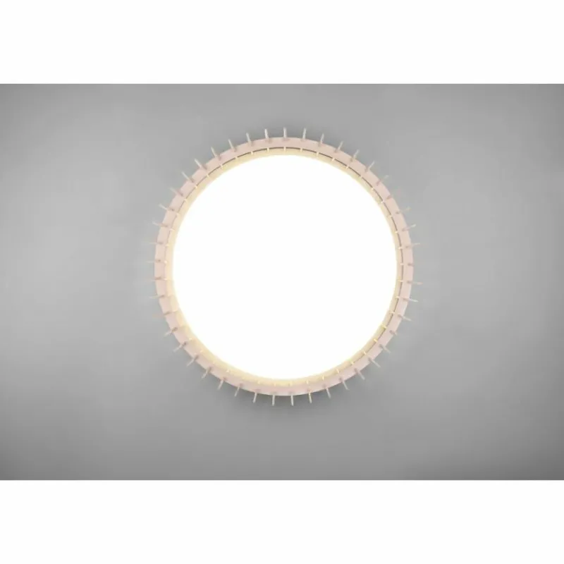 Luminaires Reality Plafonnier Reality Monte LED Blanc, 1 lumière, Télécommandes* Éclairage Led